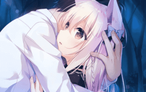 【SLG/AI汉化】兽娘育成方䅁1.0【PC+安卓/2.6G】